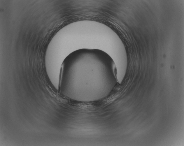 X0000087370284200705181224