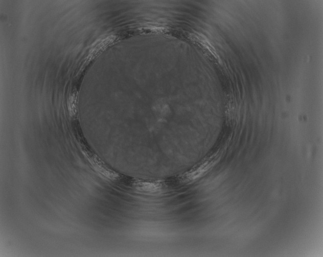 X0000087370285200705181224