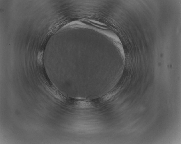 X0000087370286200705181224