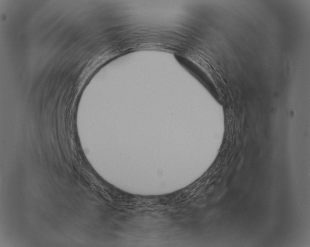 X0000087370289200705181223