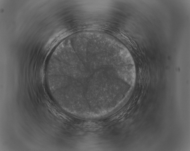 X0000087370290200705181223