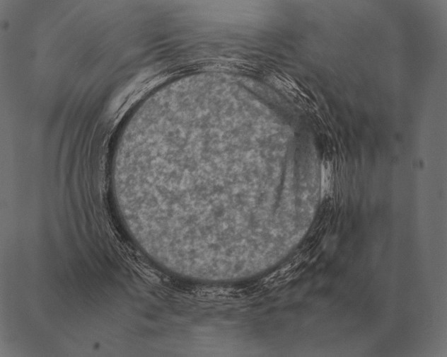 X0000087370291200705181223