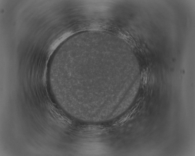 X0000087370292200705181223