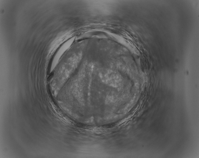 X0000087370293200705181223