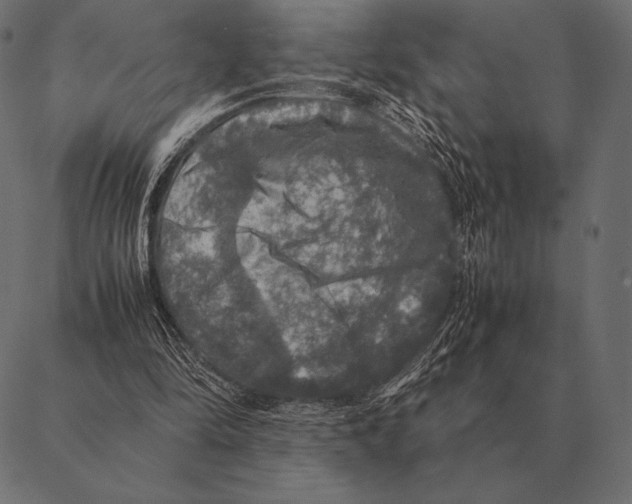 X0000087370294200705181223