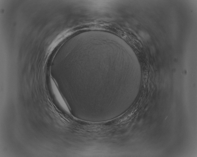 X0000087370295200705181223