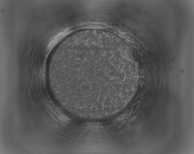 X0000087370296200705181223