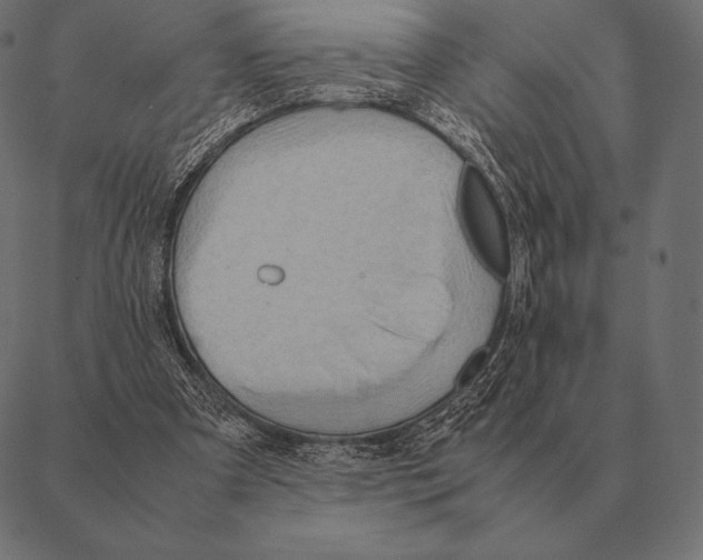 X0000087370297200705181223