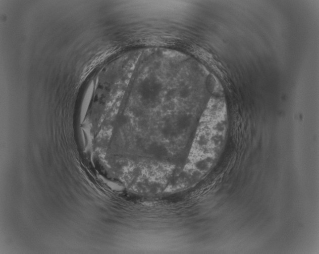 X0000087370299200705181223