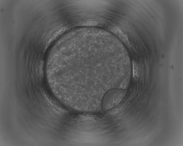 X0000087370300200705181223