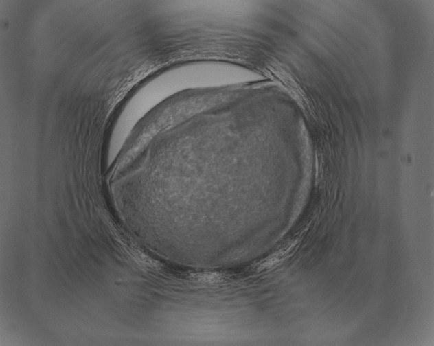 X0000087370301200705181223