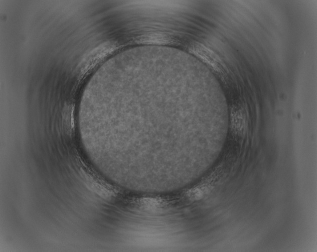 X0000087370302200705181223