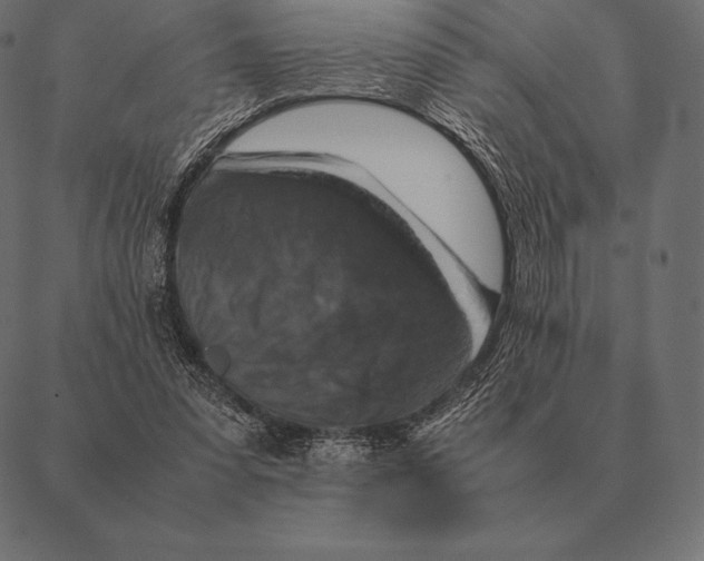 X0000087370303200705181223