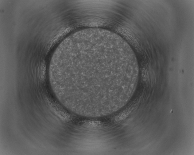 X0000087370304200705181223