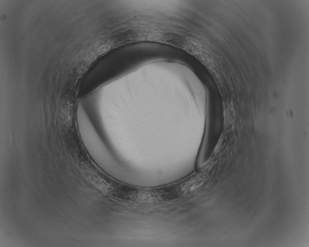 X0000087370305200705181223