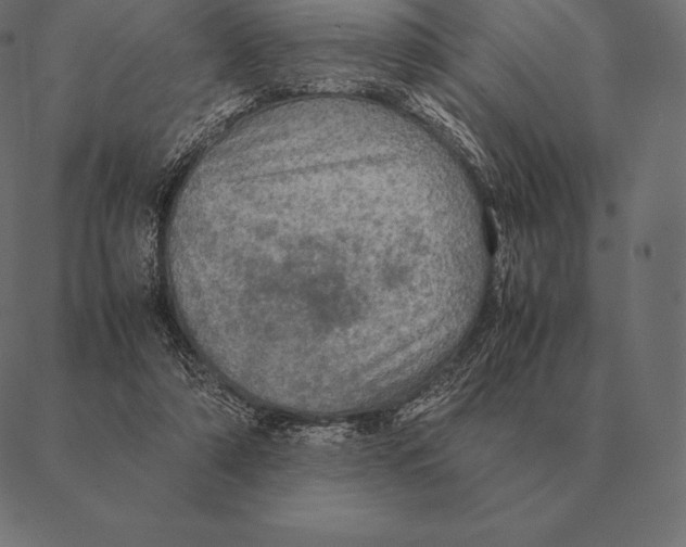 X0000087370306200705181223