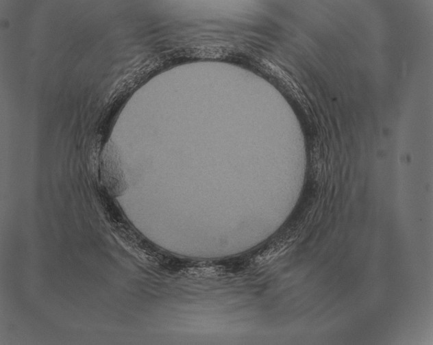 X0000087370307200705181223