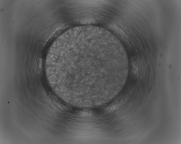 X0000087370308200705181223