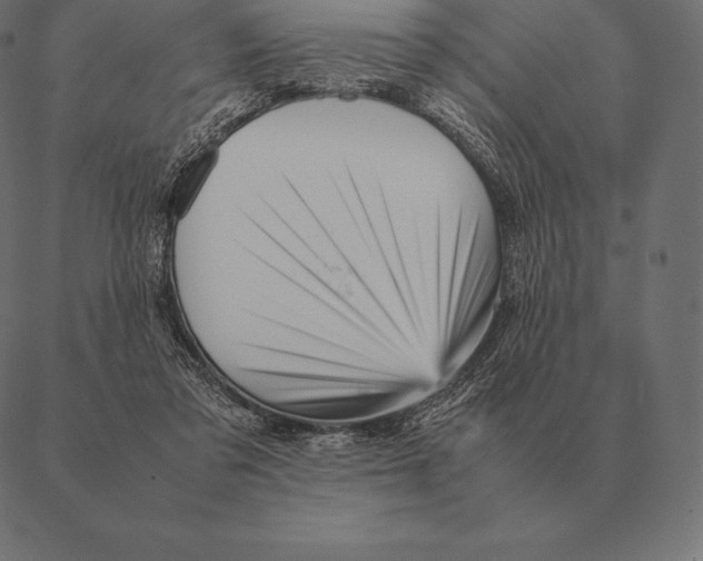 X0000087370309200705181223