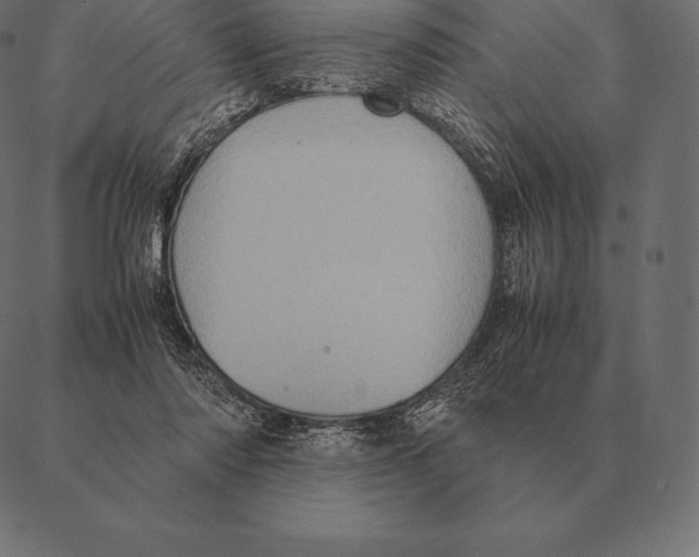 X0000087370310200705181223