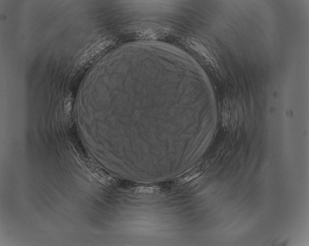 X0000087370314200705181223