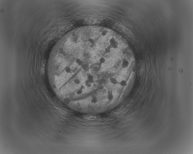 X0000087370315200705181223