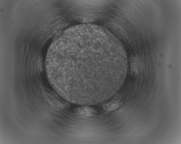 X0000087370316200705181223