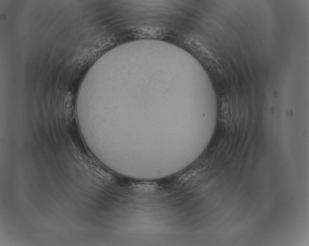 X0000087370318200705181223