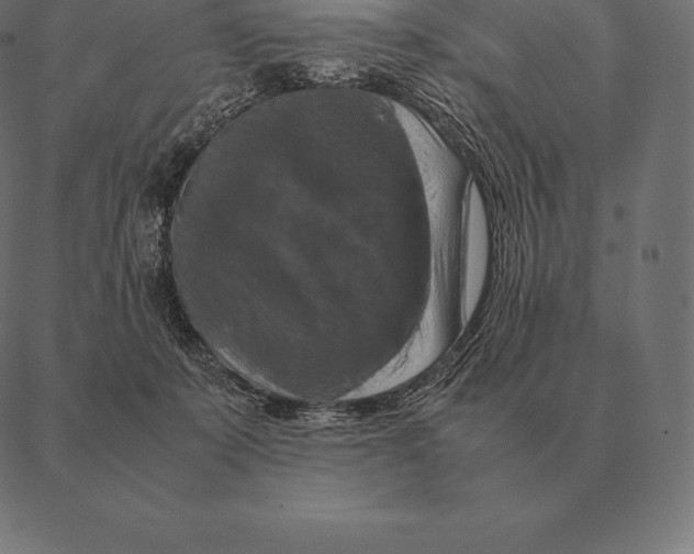 X0000087370319200705181223