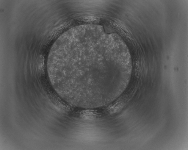 X0000087370320200705181223