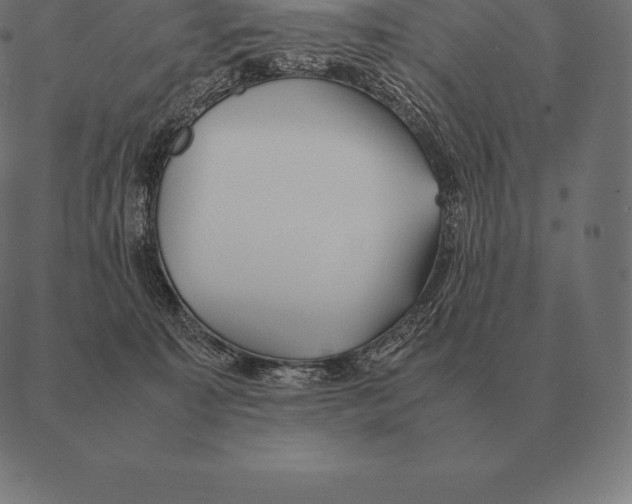 X0000087370323200705181223