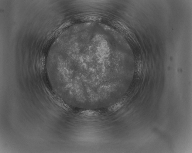 X0000087370326200705181223