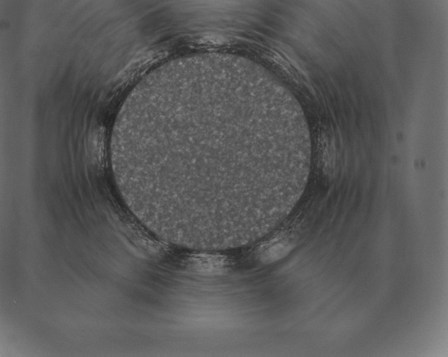 X0000087370328200705181223