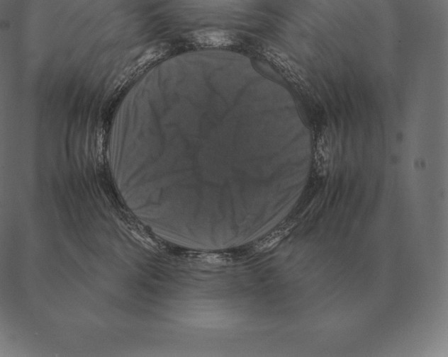 X0000087370330200705181223