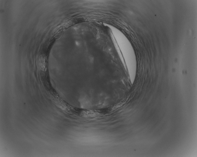 X0000087370331200705181223