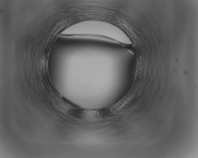 X0000087370333200705181223