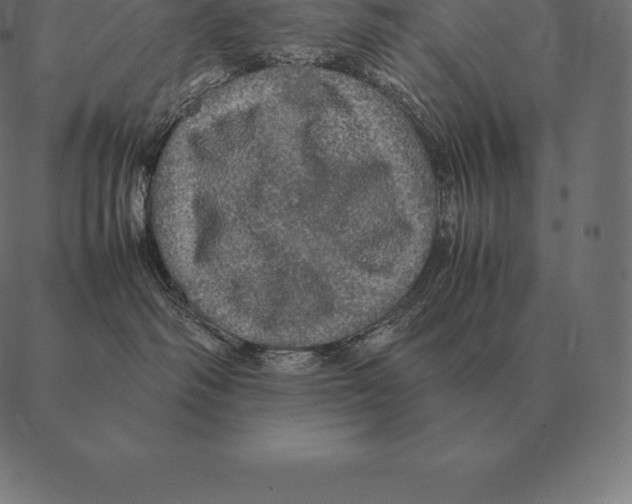 X0000087370334200705181223