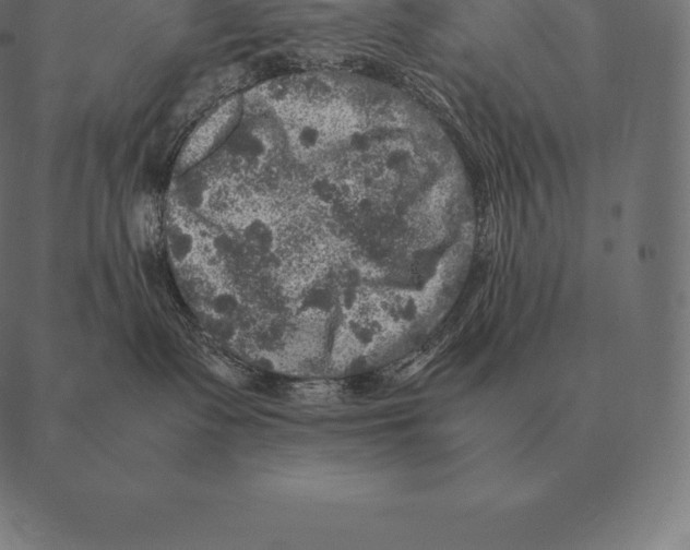 X0000087370335200705181223