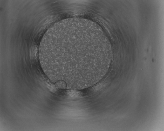 X0000087370336200705181223