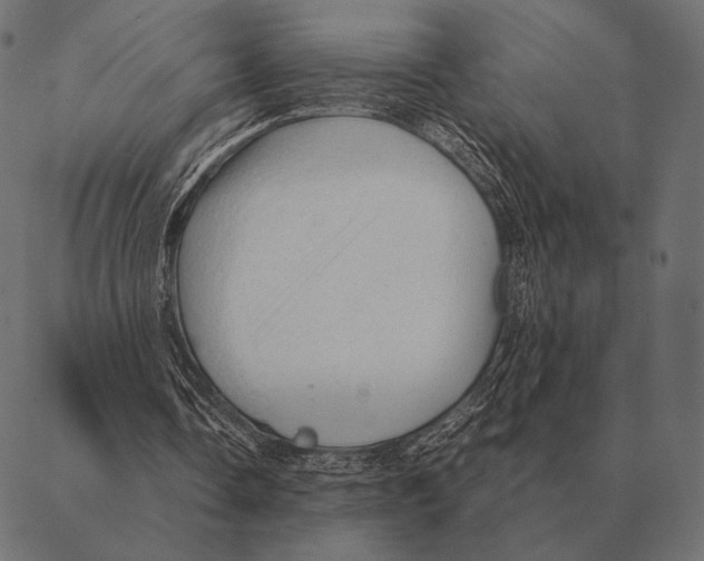 X0000087370338200705181222