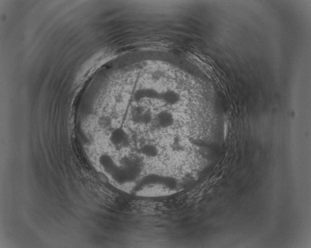 X0000087370339200705181222