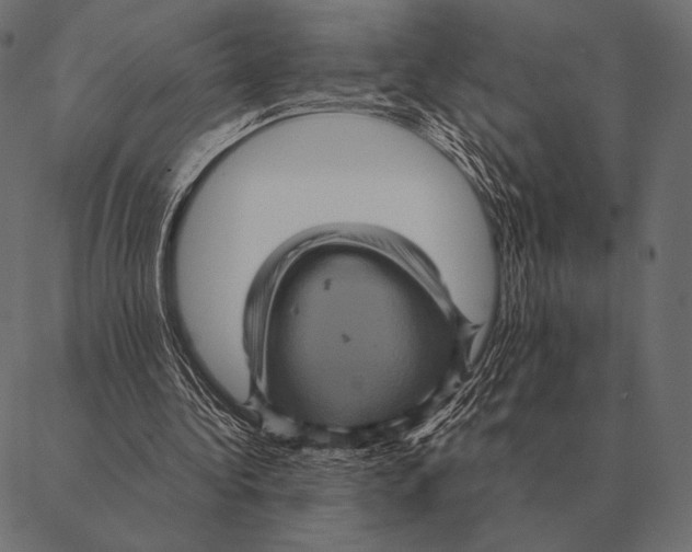 X0000087370340200705181222