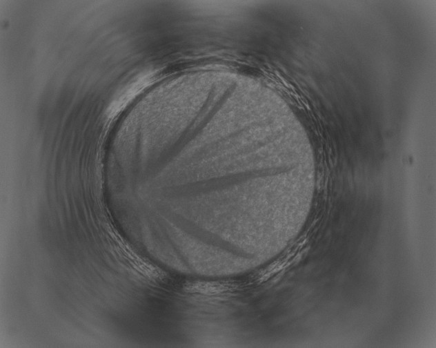 X0000087370341200705181222