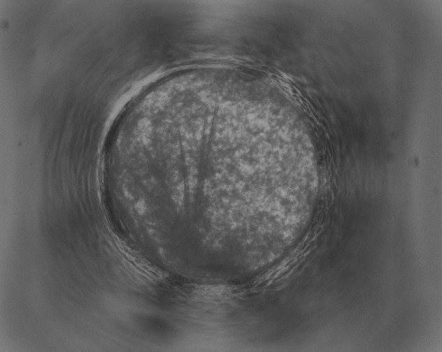 X0000087370342200705181222