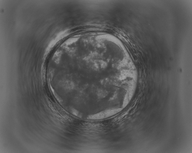 X0000087370343200705181222