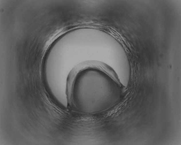 X0000087370344200705181222