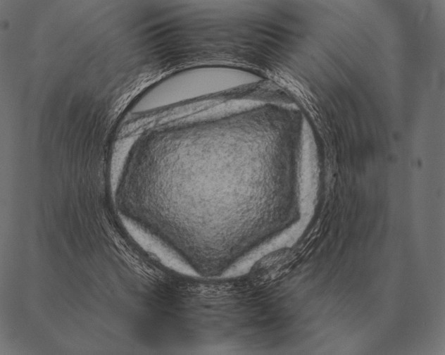 X0000087370345200705181222