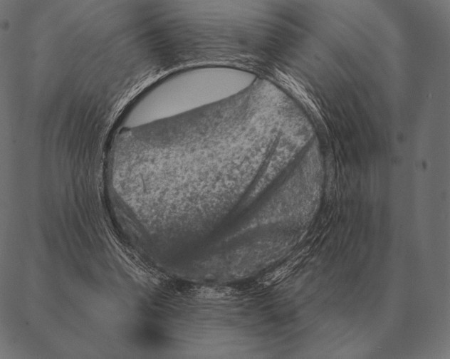 X0000087370346200705181222