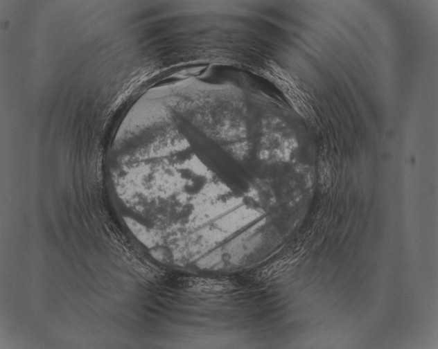 X0000087370347200705181222