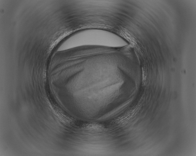 X0000087370348200705181222